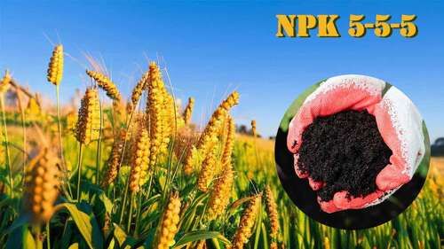 آخرین اخبار شرکت درباره راهنمای نهایی NPK 5-5-5 کود ارگانیک