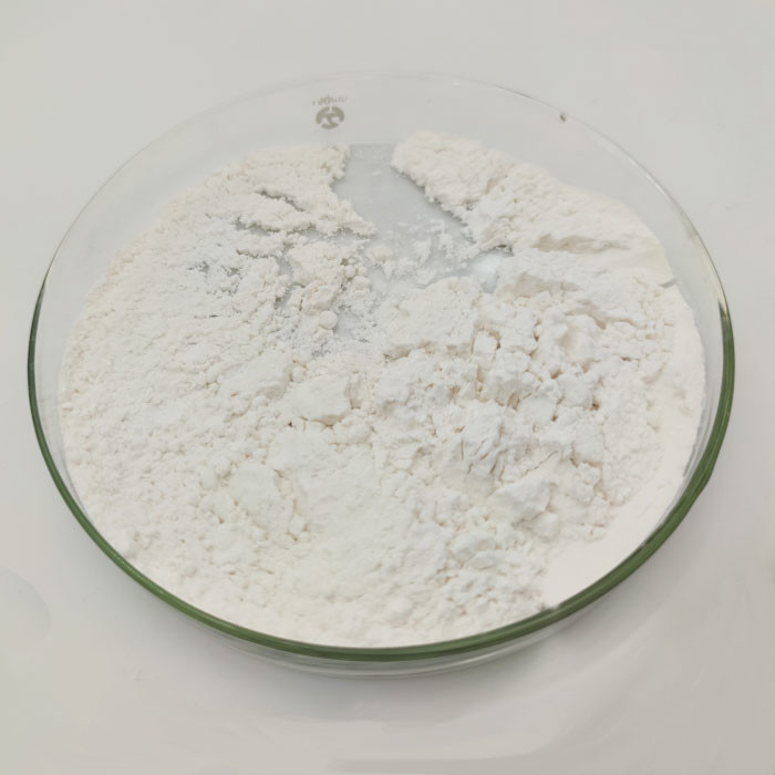 CAS 657-27-2 Lysine Hcl Powder Feed Chemical Additives Lysine Hydrochloride